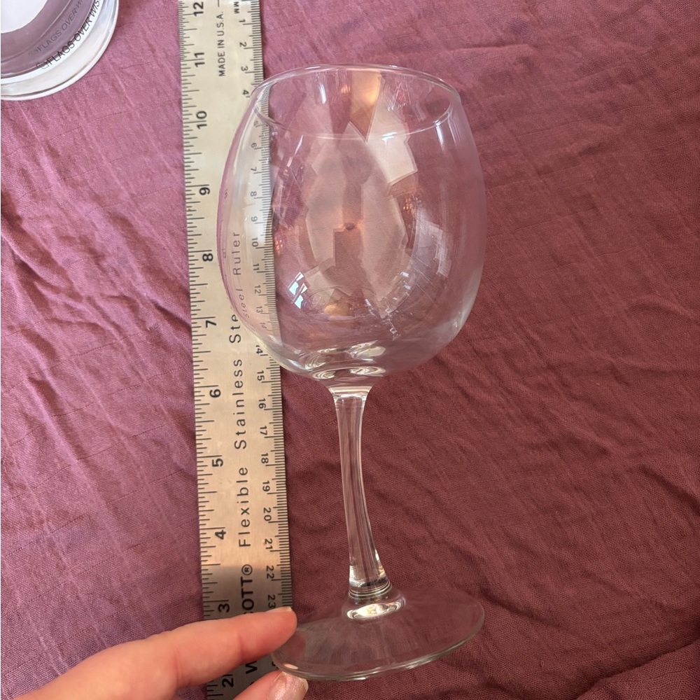 Trick Prank Wine glass